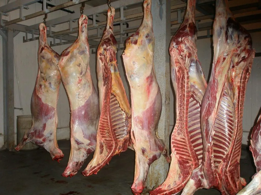 мясо конины в Пензе и Пензенской области
