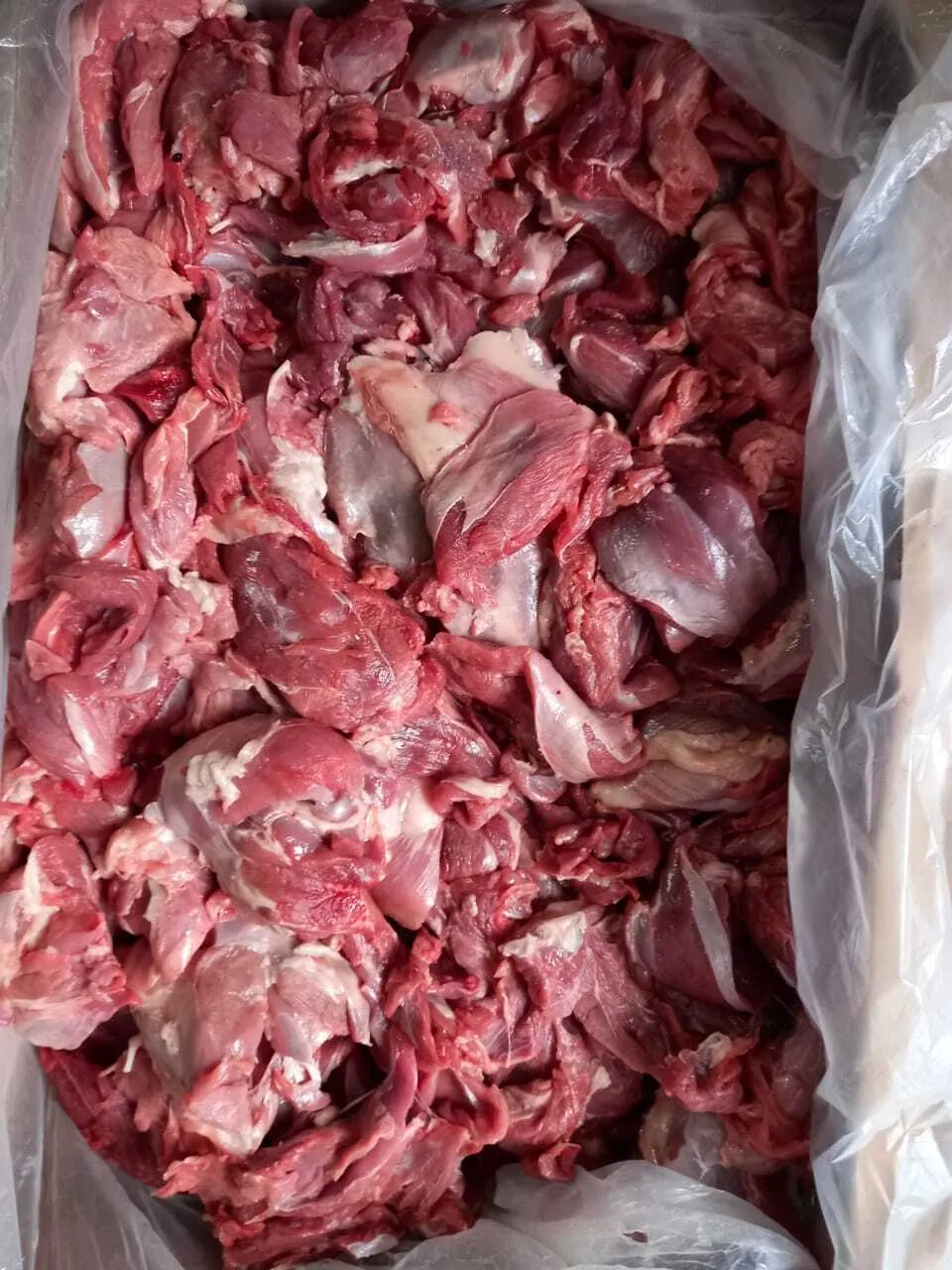 мясо индейки от 500кг в Пензе