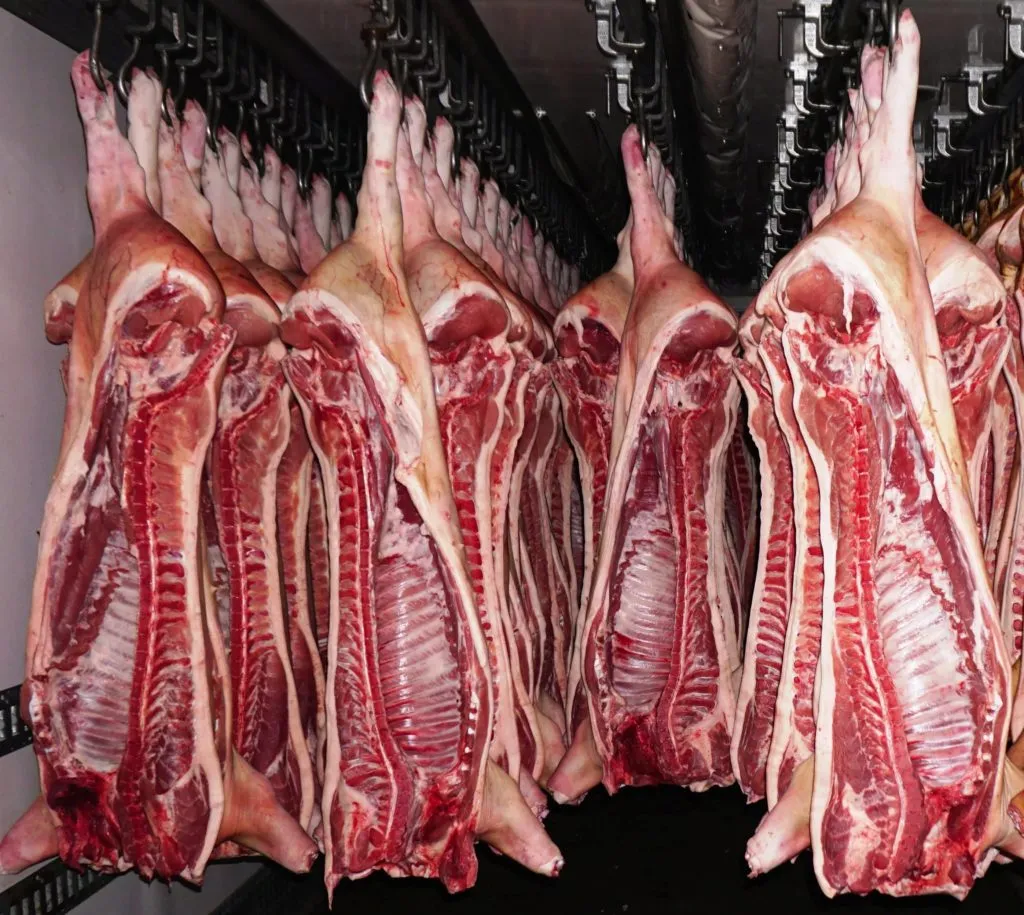  мясо свинина в Чите